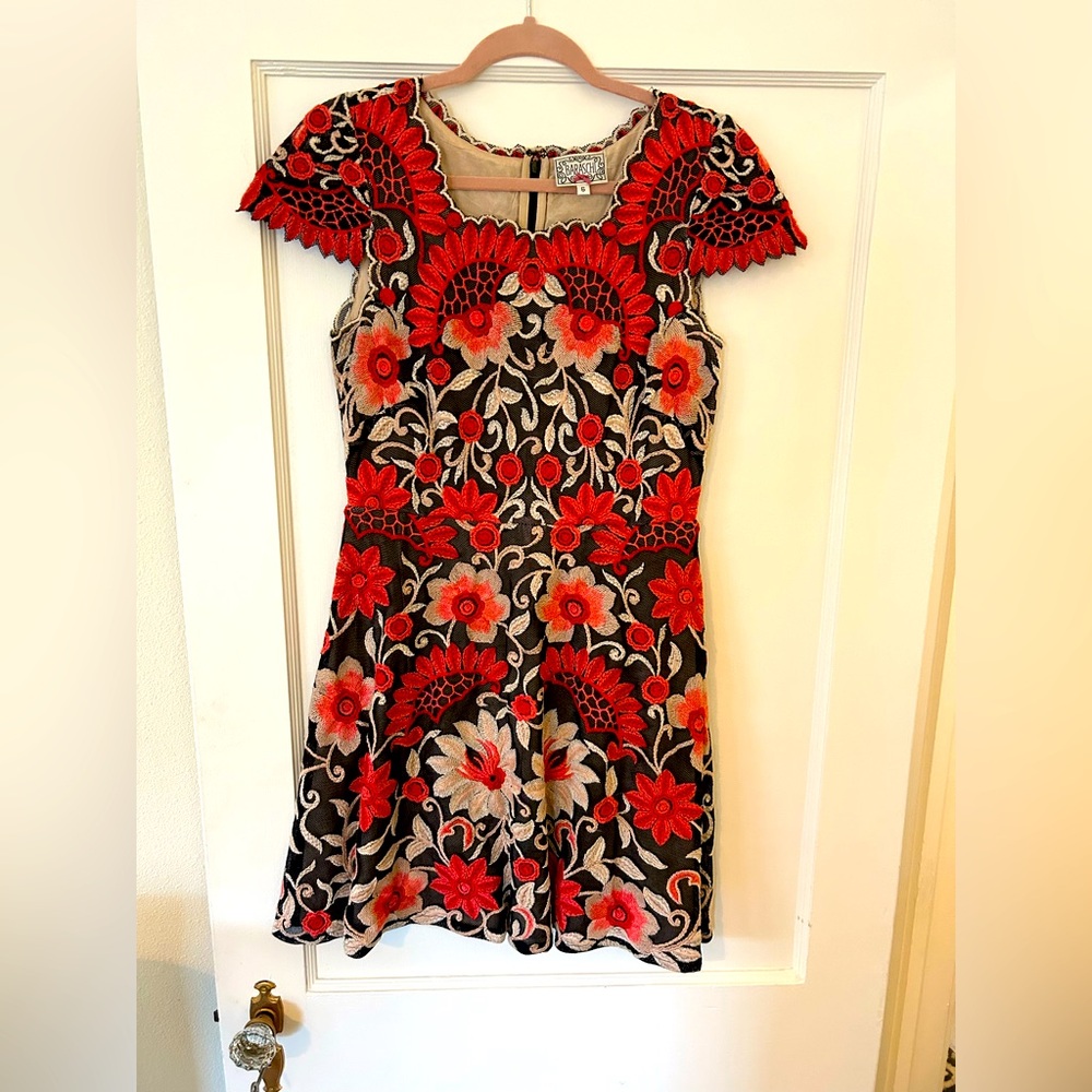 Baraschi Embroidered Dress